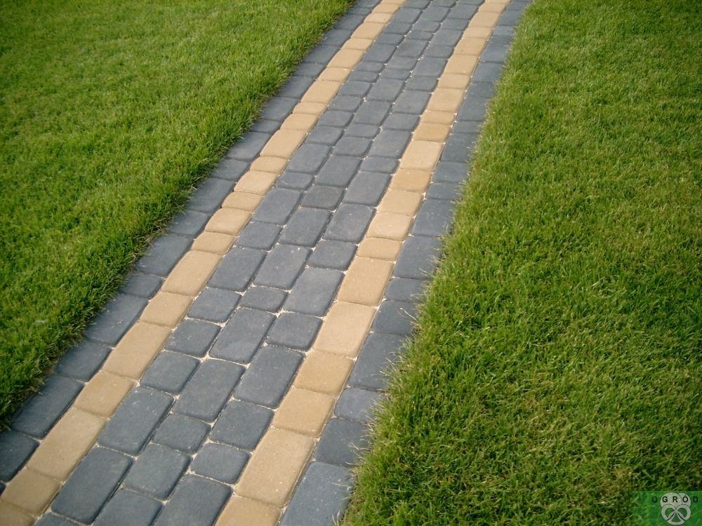 Ścieżka w trawniku