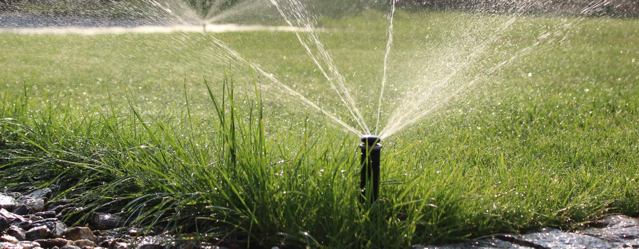 Podlewanie trawnika - MP Roatator - Hunter